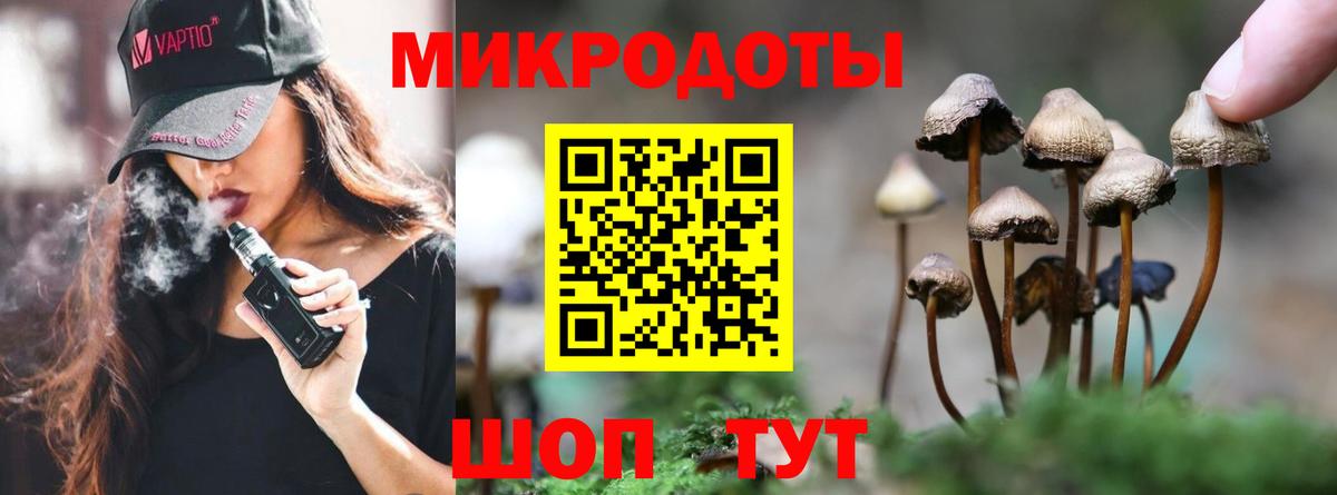 Галлюциногенные грибы мухоморы Городец